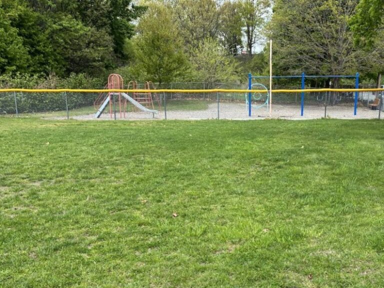 photo showing a grassy area and playground structures