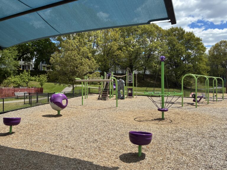 photo of swingset and playground structures