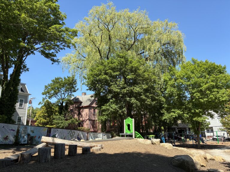 photo showing playground structures