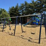 George J West Park Swing Set