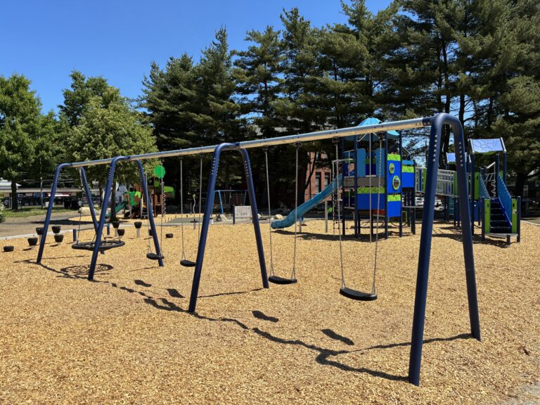 George J West Park Swing Set