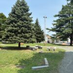 photo showing walking path, trees, grass areas, and seating