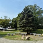 photo showing trees, grass fields and seating areas