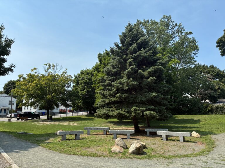 photo showing trees, grass fields and seating areas