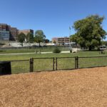photo of a fence and walking paths