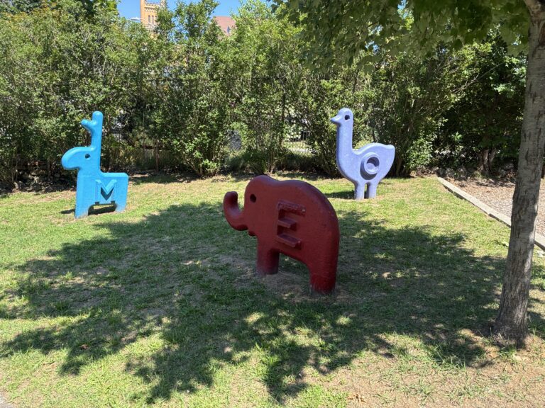 photo of playground structures
