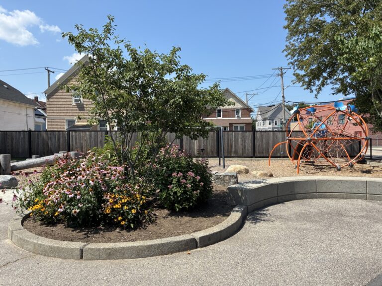 photo showing playground structures and flowering bushes