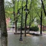 photo showing trees and a lamp post
