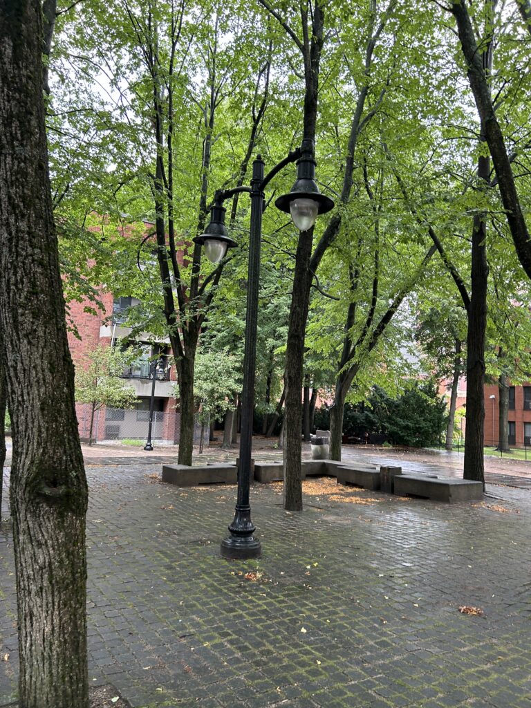 photo showing trees and a lamp post
