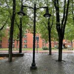 photo showing trees and a lamp post