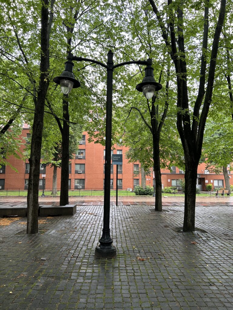 photo showing trees and a lamp post