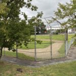 photo of a baseball field with trees and houses in the background