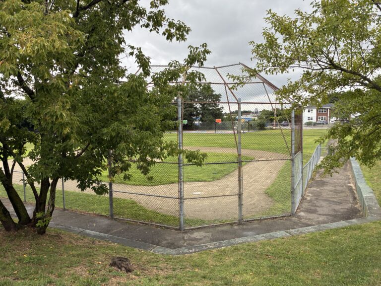 photo of a baseball field with trees and houses in the background