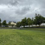 photo of a baseball field with trees and houses in the background