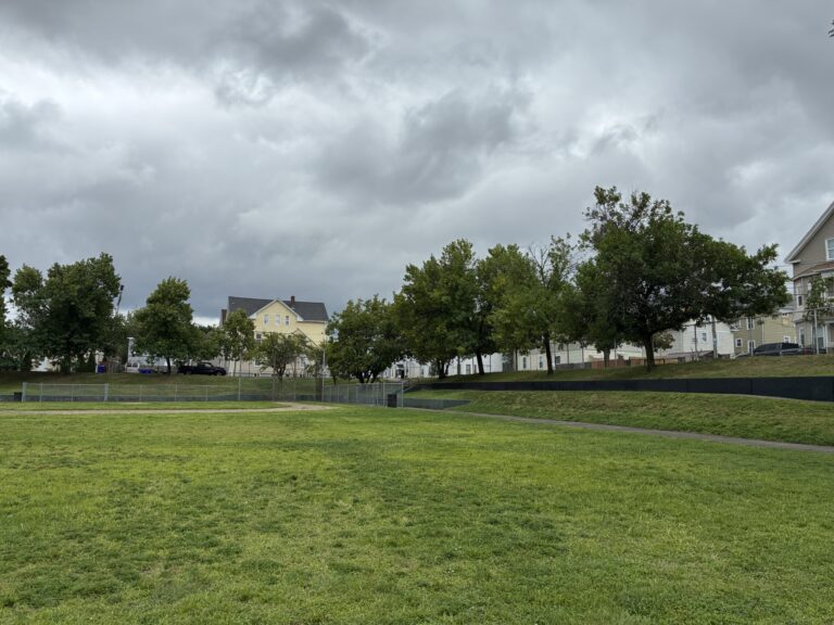 photo of a baseball field with trees and houses in the background