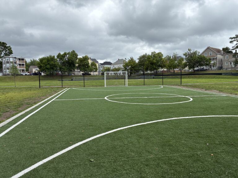 photo showing a turf field