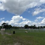 Hopkins Park soccer field