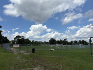 Hopkins Park soccer field
