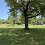 Merino Park features an open lawn with shade trees between the basketball court and parking lot