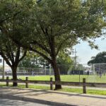 photo of trees next to a soccer people. There are people on the soccer field playing soccer.