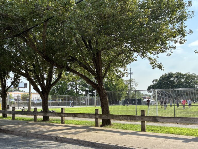 photo of trees next to a soccer people. There are people on the soccer field playing soccer.
