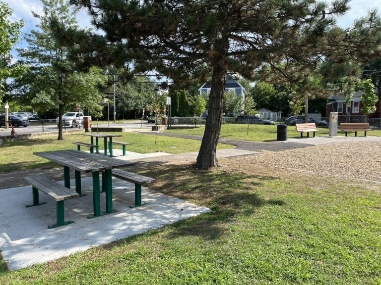 photo of seating and picnic areas