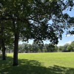 photo showing a tree lined grass field