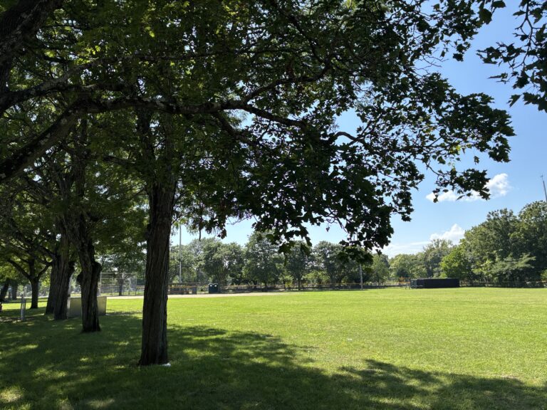photo showing a tree lined grass field