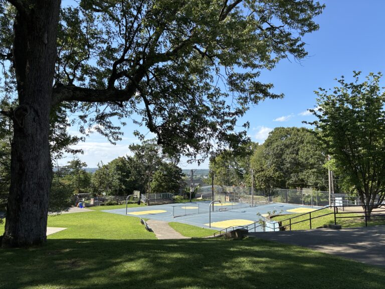photo showing a tree with basketball courts