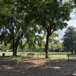 photo showing playground structures