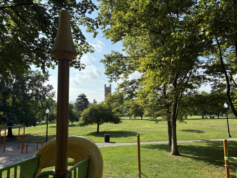 photo showing tree lined fields