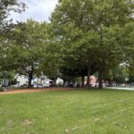 photo of a playground and grass field