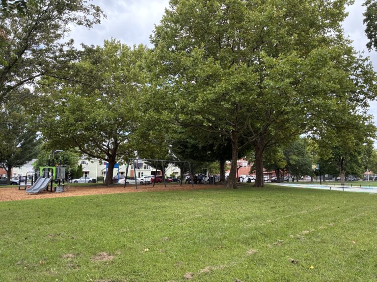 photo of a playground and grass field