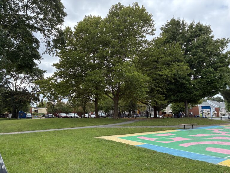 photo of playground structures