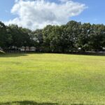photo of a tree lined grass field