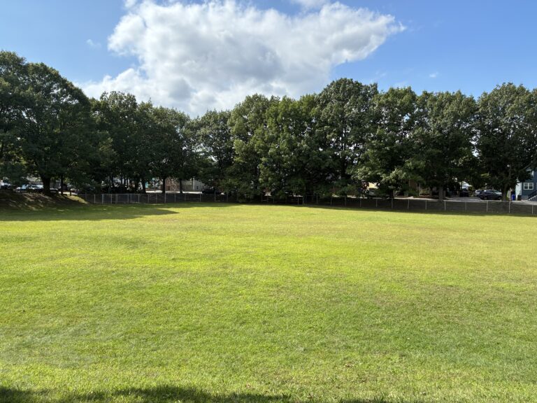 photo of a tree lined grass field
