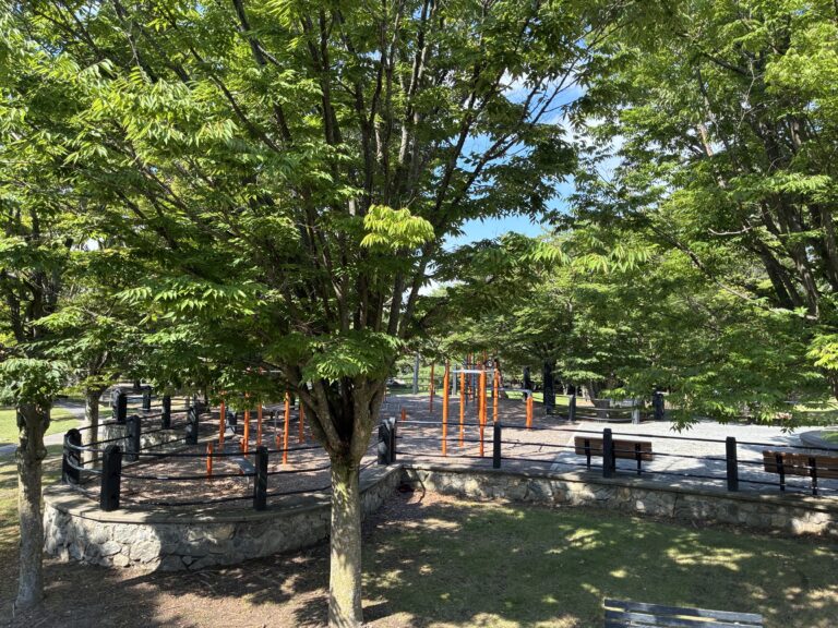 photo of trees and playground structures