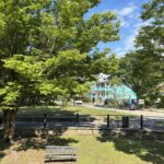 photo of a park bench, trees, and grass field area