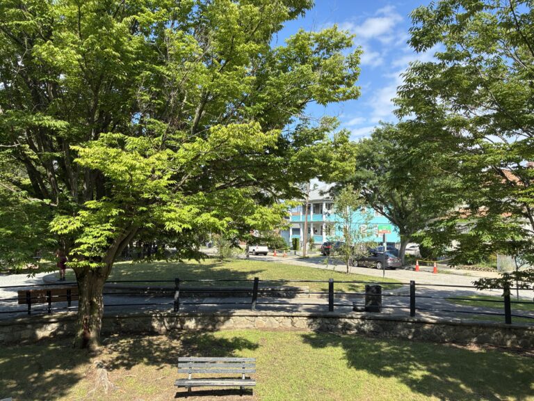 photo of a park bench, trees, and grass field area