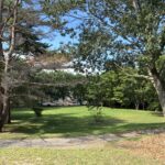 photo showing a tree lined grass field