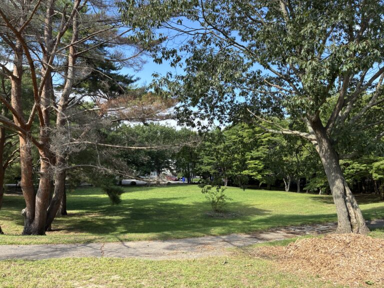 photo showing a tree lined grass field