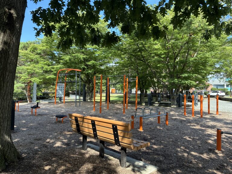 photo of playground structures