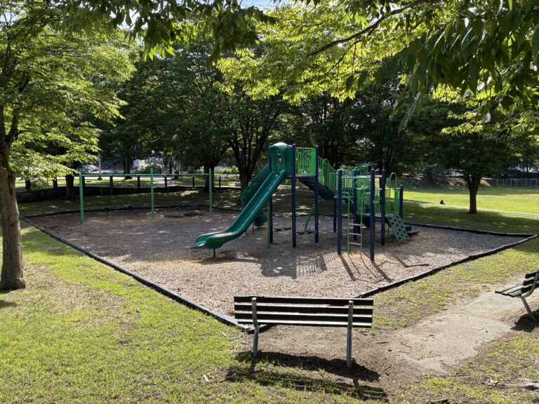 photo of playground structures
