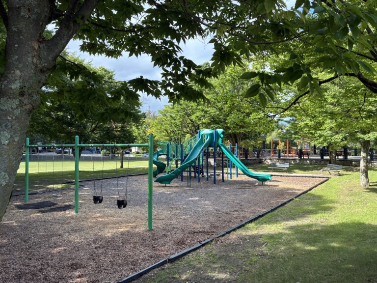 photo of playground structures