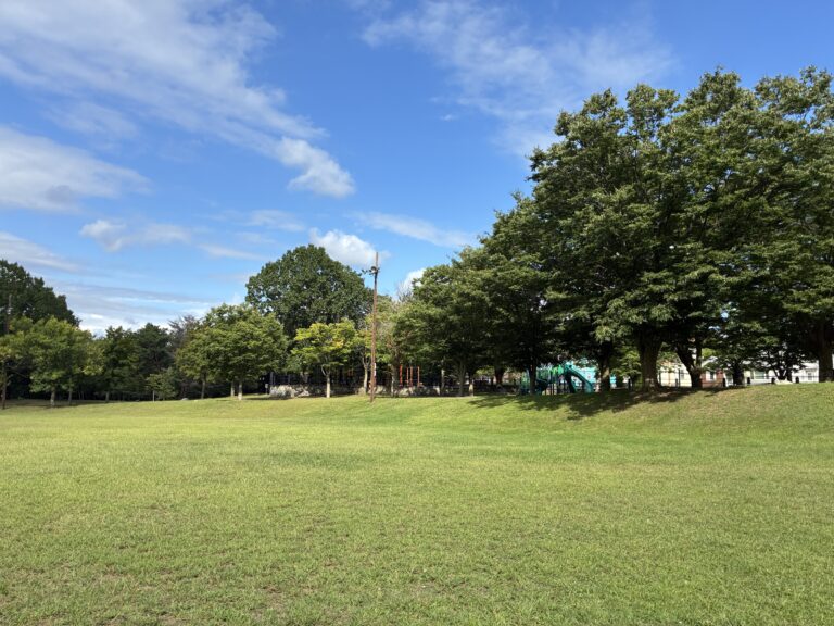 photo of a tree lined grass field