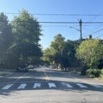 Tree-lined street on the east side of Providence with a good mix of canopy