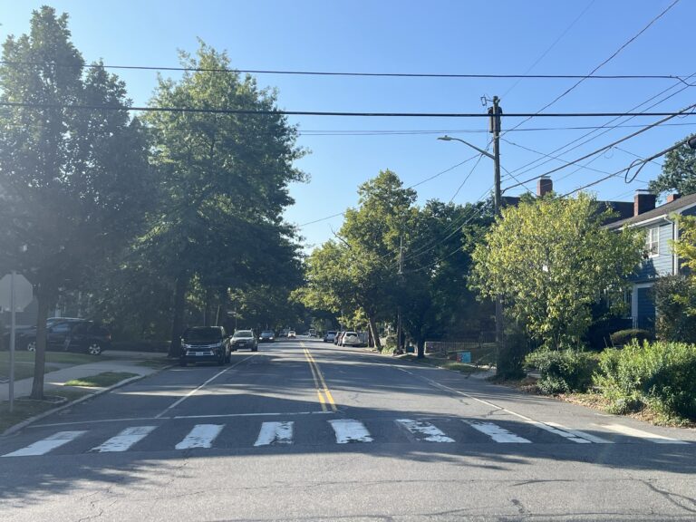 Tree-lined street on the east side of Providence with a good mix of canopy