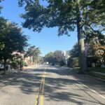 Tree-lined street on the east side of Providence showing mix of mature and young trees
