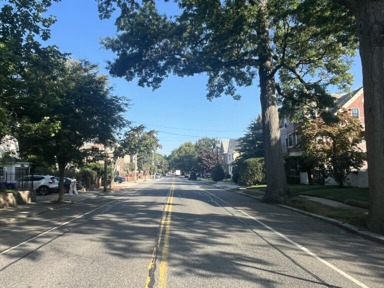 Tree-lined street on the east side of Providence showing mix of mature and young trees