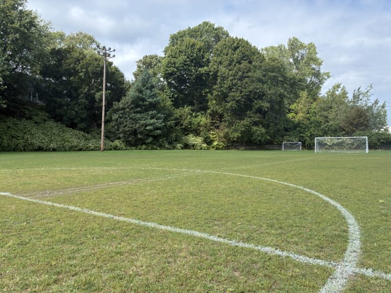 photo showing a sports field and net